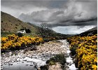 4. College Valley, Northumberland